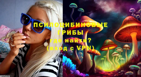 a pvp Елизово