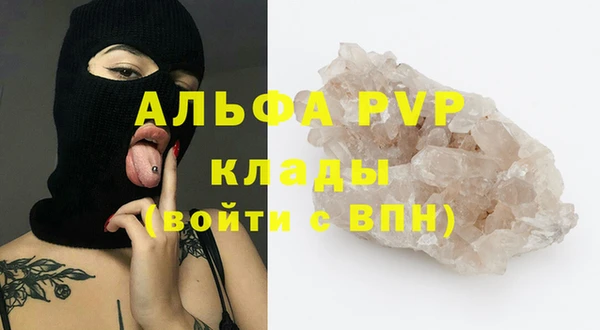 a pvp Ельня