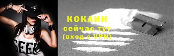 a pvp Ельня