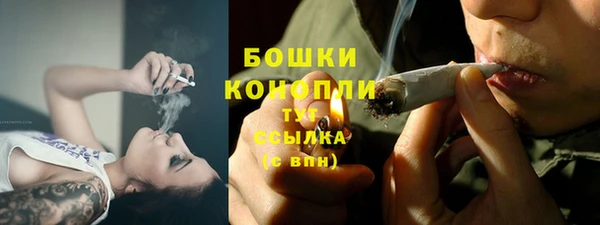 a pvp Ельня