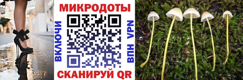 магазин    Кандалакша  Галлюциногенные грибы Psilocybe 
