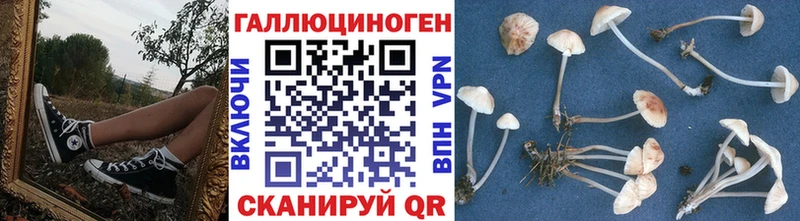 Псилоцибиновые грибы Magic Shrooms Кандалакша
