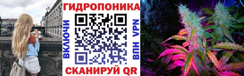Каннабис White Widow  сколько стоит  Кандалакша 